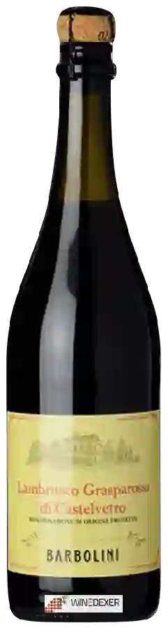 Winery Barbolini - Lambrusco Grasparossa di Castelvetro