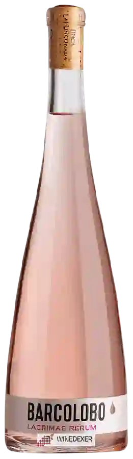 Winery Barcolobo - Lacrimae Rerum Winery Barcolobo - Lacrimae Rerum