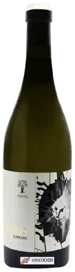 Winery Barcza Balint - Juhfark