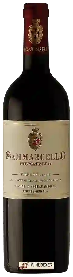 Winery Barone di Serramarrocco - Sammarcello Pignatello