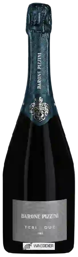 Winery Barone Pizzini - Tesi Due Winery Barone Pizzini - Tesi Due