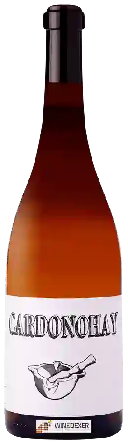 Winery Barranco Oscuro - Cardonohay Winery Barranco Oscuro - Cardonohay