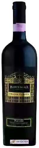 Winery Bartenura - Ovadia Estates Barolo