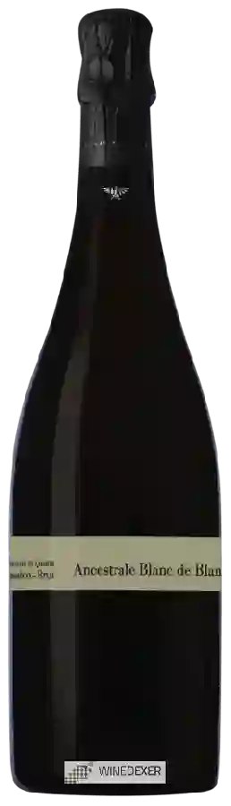 Winery Castello di Stefanago - Baruffaldi - Ancestrale Blanc de Blancs Classico Brut Winery Castello di Stefanago - Baruffaldi - Ancestrale Blanc de Blancs Classico Brut
