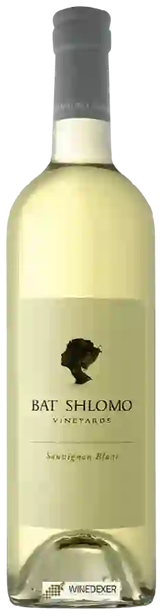 Winery Bat Shlomo Vineyards - Sauvignon Blanc