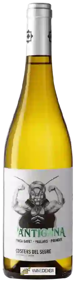 Winery Batlliu de Sort - Pantigana Winery Batlliu de Sort - Pantigana