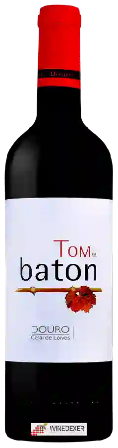 Winery Baton - Tom de Baton Tinto Winery Baton - Tom de Baton Tinto