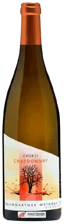 Winery Baumgartner Weinbau - Chürzi Chardonnay Winery Baumgartner Weinbau - Chürzi Chardonnay