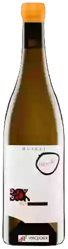 Winery Judith Beck - Muskat Bambule