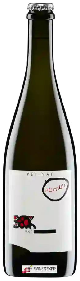 Winery Judith Beck - Pet-Nat Bambule!