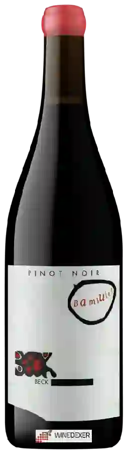 Winery Judith Beck - Pinot Noir Bambule!