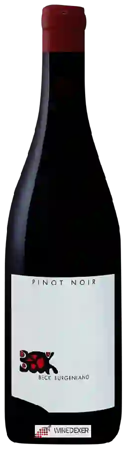 Winery Judith Beck - Pinot Noir Winery Judith Beck - Pinot Noir