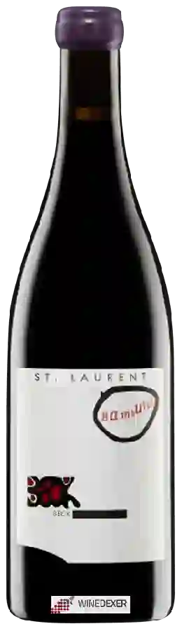 Winery Judith Beck - St. Laurent Bambule!
