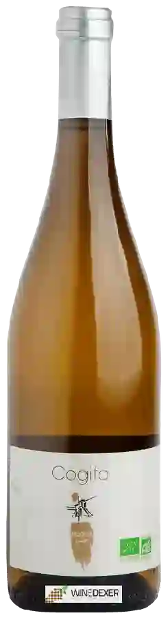 Winery Bedouet Vigneron - Cogito Winery Bedouet Vigneron - Cogito