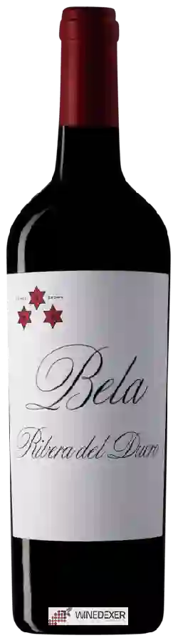 Winery Bela - Roble