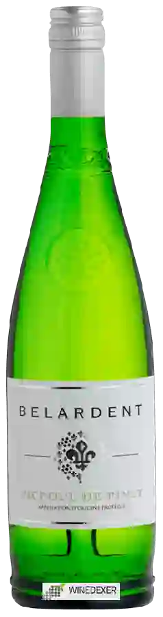 Winery Belardent - Picpoul de Pinet