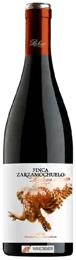 Winery Belezos - Finca Zarzamochuelo Winery Belezos - Finca Zarzamochuelo