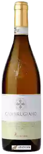 Winery Belisario - Cambrugiano Verdicchio di Matelica Riserva