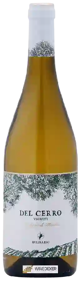 Winery Belisario - Del Cerro Verdicchio di Matelica Winery Belisario - Del Cerro Verdicchio di Matelica
