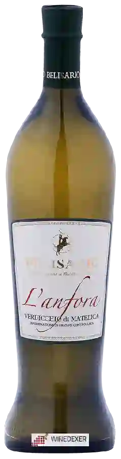 Winery Belisario - L'Anfora Verdicchio di Matelica Winery Belisario - L'Anfora Verdicchio di Matelica