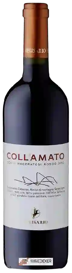 Winery Belisario - Coll'Amato Colli Maceratesi Rosso