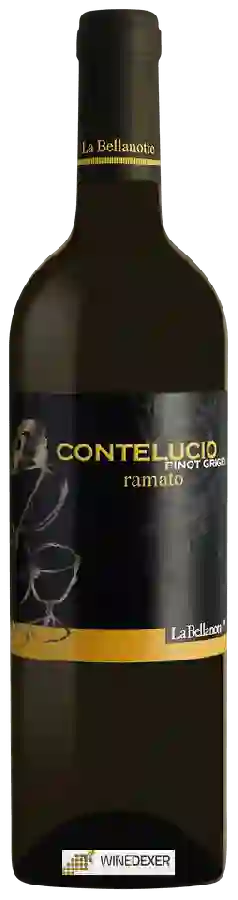 Winery La Bellanotte - Contelucio Pinot Grigio Ramato