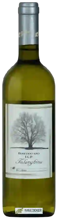 Winery Bellaria - Beneventano Falanghina