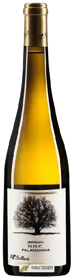 Winery Bellaria - Irpinia Falanghina Winery Bellaria - Irpinia Falanghina
