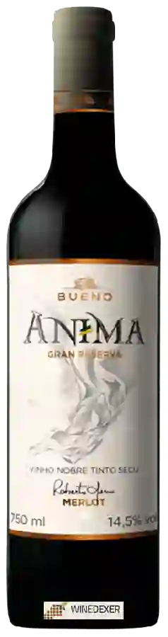 Winery Bueno - Anima Gran Reserva Merlot Winery Bueno - Anima Gran Reserva Merlot