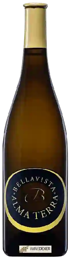 Winery Bellavista - Alma Terra Winery Bellavista - Alma Terra