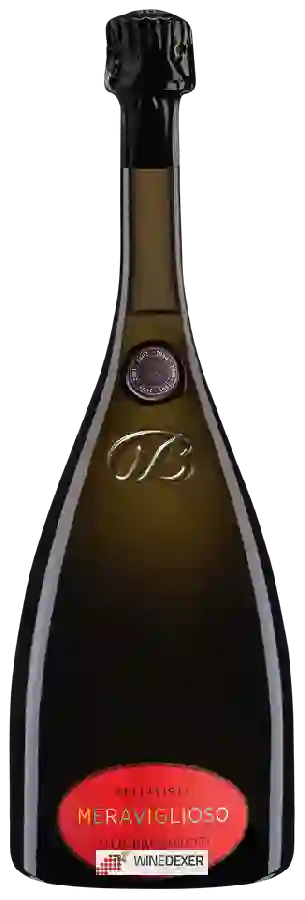 Winery Bellavista - Meraviglioso Vittorio Moretti