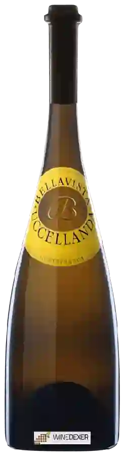Winery Bellavista - Uccellanda Curtefranca Winery Bellavista - Uccellanda Curtefranca