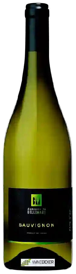 Domaine de Belle Mare - Sauvignon Domaine de Belle Mare - Sauvignon