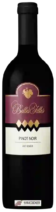 Winery Belles Filles - Pinot Noir Winery Belles Filles - Pinot Noir