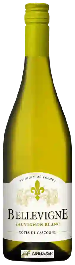 Winery Bellevigne - Sauvignon Blanc