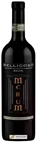 Winery Bellicoso Antonio - Merum