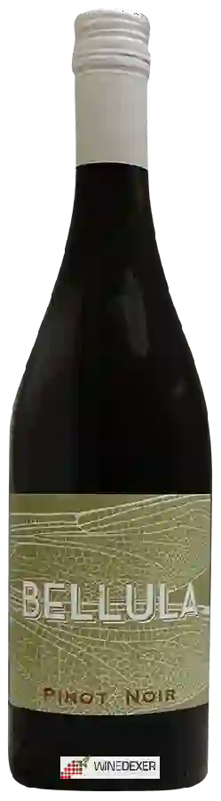Winery Bellula - Pinot Noir Winery Bellula - Pinot Noir