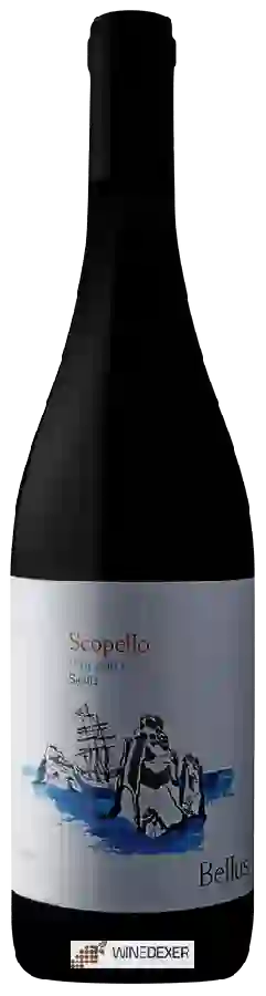 Winery Bellus - Scopello Frappato