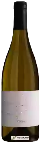 Winery Bencze - Virgo