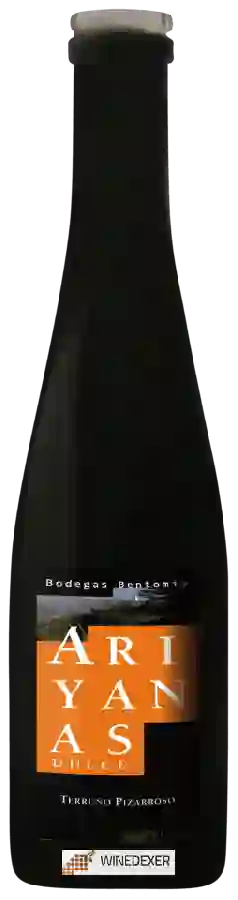 Bodegas Bentomiz - Ariyanas Terruño Pizarroso