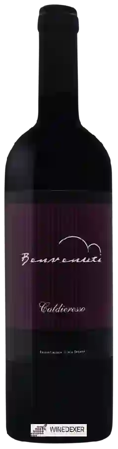 Winery Benvenuti - Caldierosso