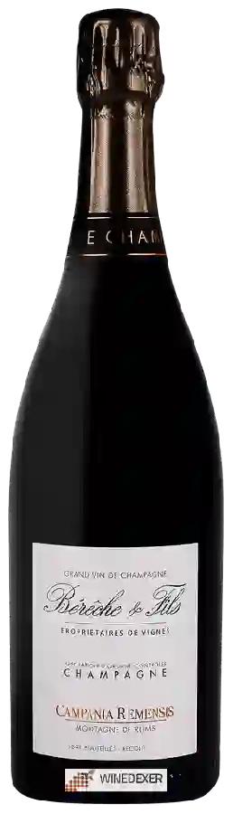 Winery Bereche & Fils - Campania Remensis Champagne