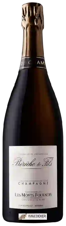 Winery Bereche & Fils - Les Monts Fournois Champagne