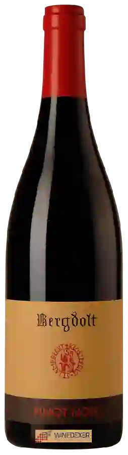 Winery Bergdolt - Spätburgunder