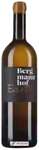 Winery Bergmannhof - Eart