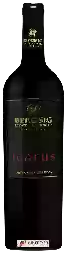 Winery Bergsig Estate - Icarus Red