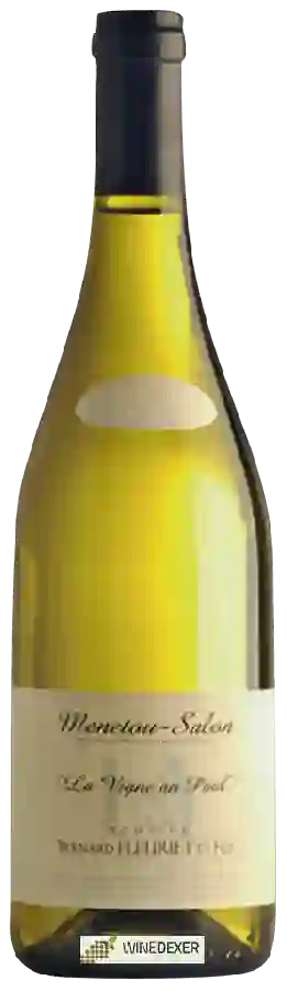 Domaine Bernard Fleuriet & Fils - La Vigne au Paul Menetou-Salon Blanc