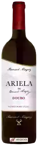 Winery Bernard Magrez - Ariela Tinto