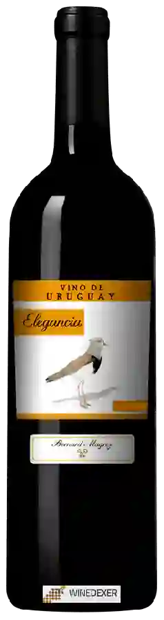 Winery Bernard Magrez - Elegancia Winery Bernard Magrez - Elegancia