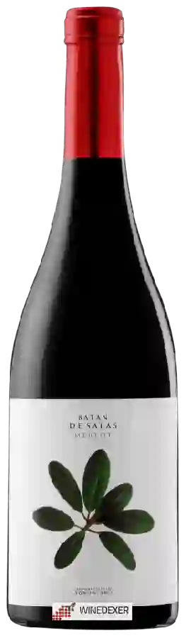 Winery Batán de Salas de Beroz - Merlot Winery Batán de Salas de Beroz - Merlot